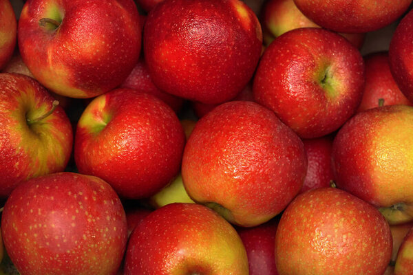 Fresh red and yellow apples with condensed drops of water displayed at food market, closeup detail