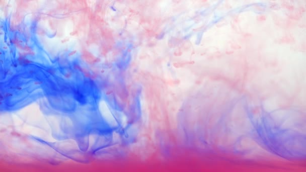蓝色和粉色墨水在水族馆中缓慢混合 抽象背景 — 图库视频影像
