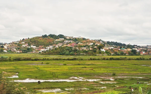 Antananarivo Madagaskar April 2019 Typisk Natur Mulen Dag Nära Madagaskars — Stockfoto