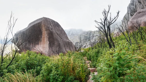 Wandelpad Tussen Kleine Groene Struiken Droge Bomen Enorme Rotsen Tijdens — Stockfoto