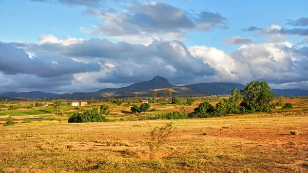 Typisk Madagaskar Landskap Grönt Och Gult Ris Terrassfält Små Kullar — Stockfoto