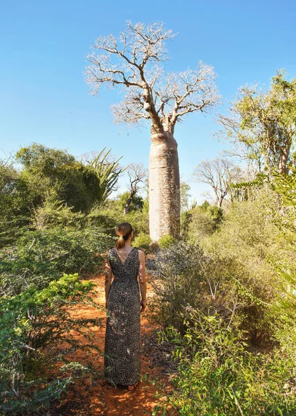 Woman Wearing Dress Animal Pattern Walking Baobab Tree View Bushes — Stock Photo, Image