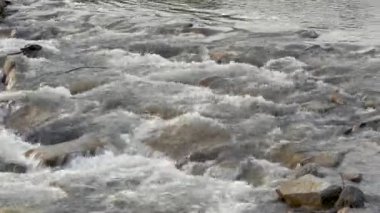 Sığ nehirdeki kayaların üzerinden akan su taşların üzerinde beyaz dalgalar oluşturur.