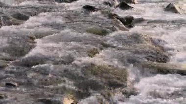 Sığ nehirdeki kayaların üzerinden akan su öğleden sonra güneşiyle aydınlanan taşların üzerinde beyaz dalgalar oluşturur.