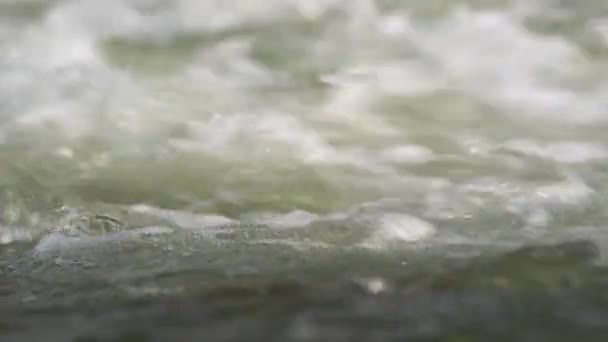 Dettaglio Primo Piano Acqua Che Scorre Nel Fiume Nella Giornata — Video Stock