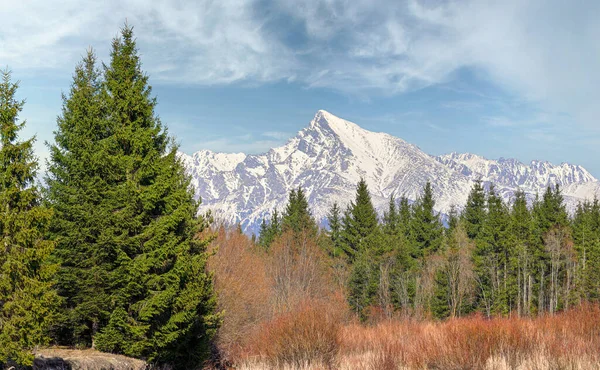 Mount Krivan Topp Slovakisk Symbol Våren Del Snö Fortfarande Toppen — Stockfoto