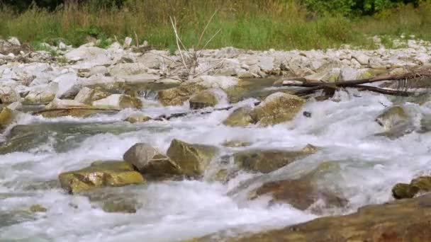 Rio Primavera Que Flui Sobre Rochas Dia Ensolarado Água Rápida — Vídeo de Stock