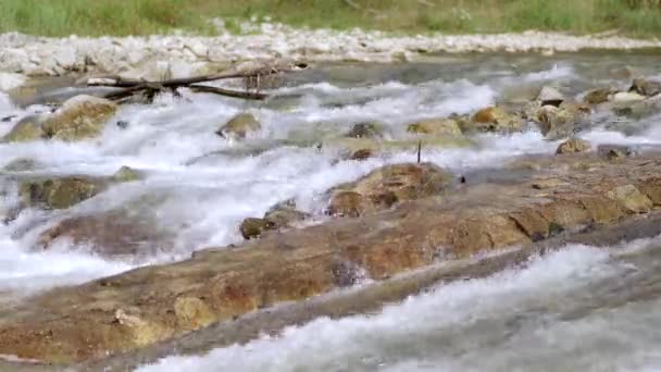 Річка Тече Над Камінням Сонячний День Крупним Планом Швидка Біла — стокове відео
