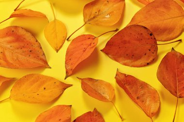 Sarı tahtada turuncu sonbahar yaprakları, yukarıdan aşağıya manzara