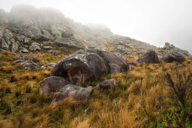 Kahverengi yeşil çimlerin üzerinde yuvarlanan sis, liken yakınında büyüyen kayalar, Andringitra Ulusal Parkı 'nda görülen tipik manzara,