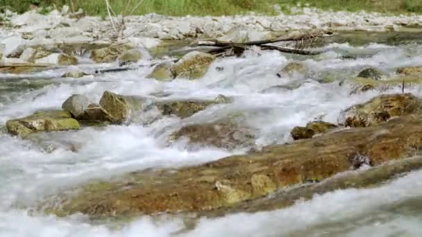 阳光明媚的日子里 河水在岩石上奔流 细致入微 洁白的水流湍急 石头和草色的背景模糊不清 — 图库视频影像