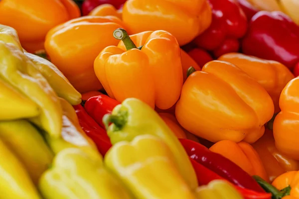 White orange and red peppers displayed on street food market, closeup detail — Stock Photo, Image