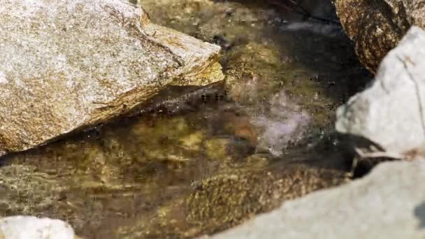 Sonne Beleuchtetes Fluss Klares Wasser Das Der Nähe Scharfer Felsen — Stockvideo