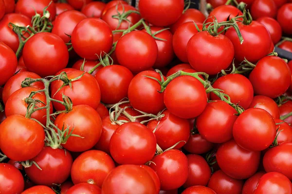 Fresh Ripe Red Tomatoes Display Street Food Market Closeup Detail — 图库照片