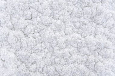 Ölü Deniz 'deki Ein Bokek plajında beyaz kristal tuz kaplama detayı - dünyanın en büyük hipersalin gölü