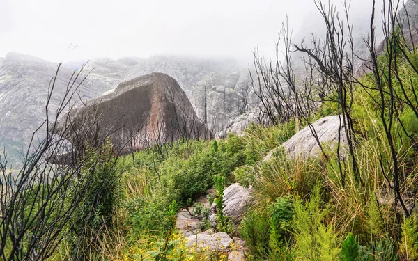 Wanderweg Zwischen Kleinen Grünen Büschen Trockenen Bäumen Und Riesigen Felsen — Stockfoto