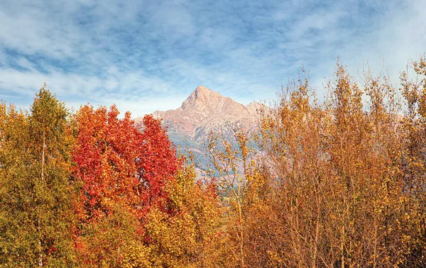 Mount Krivan Topp Slovakisk Symbol Med Höstfärgade Träd Förgrunden Typisk — Stockfoto