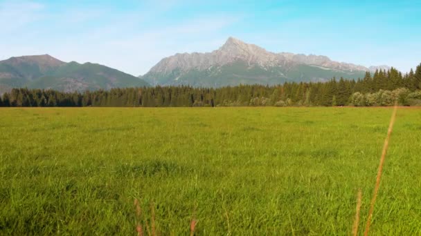 Prairie Verte Été Herbe Déplaçant Dans Vent Sommet Mont Krivan — Video