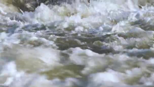 Yakından Bakınca Güneşli Bir Günde Nehirde Akan Beyaz Dalgalar Oluşturuyor — Stok video