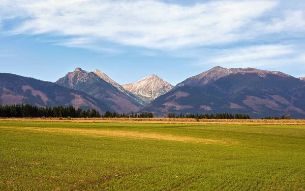 Westliches Tatra Panorama Gipfel Klin Und Bystra Feld Mit Gras — Stockfoto