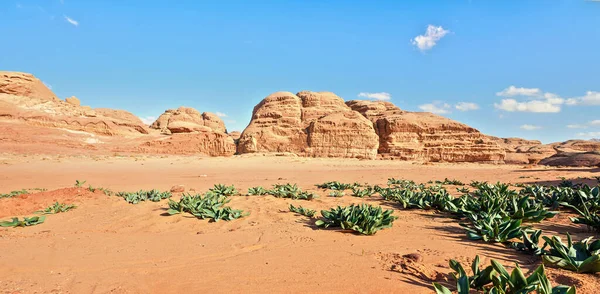 Formazioni Rocciose Nel Deserto Wadi Rum Sole Splendente Splende Polvere — Foto Stock