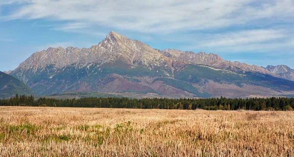 Mount Krivan Topp Slovakisk Symbol Bred Panorama Med Höst Skördade — Stockfoto