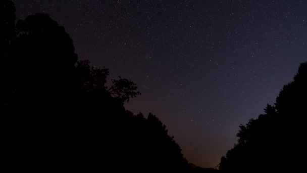 Nocny Timelapse Drzewami Sylwetki Pierwszy Plan Niektóre Satelity Perseids Spada — Wideo stockowe