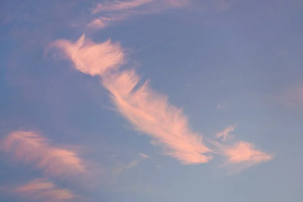 Rosa Solnedgång Cirrusmoln Himlen — Stockfoto