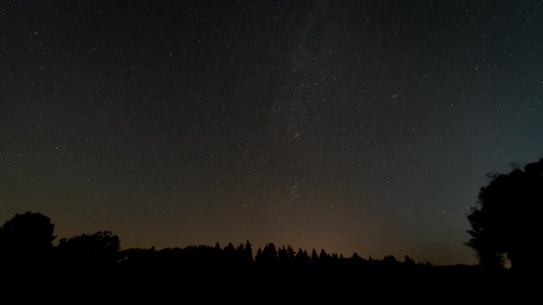 Night Timelapse Tree Silhouettes Foreground Starry Sky Some Clouds Pass — Stock Video