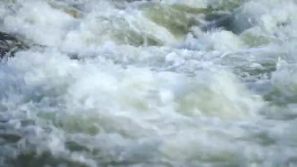 Dettaglio Primo Piano Acqua Che Scorre Nel Fiume Nella Giornata — Video Stock