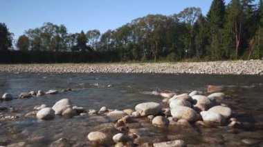 Güneşli bir günde akan nehir, kıyıda yuvarlak taşlar, arka planda ağaçlar.