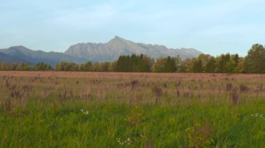 Krivan Dağı zirvesi (Slovak sembolü) önplanda sonbahar sahası, Tipik Liptov bölgesi sonbahar manzarası, Slovakya