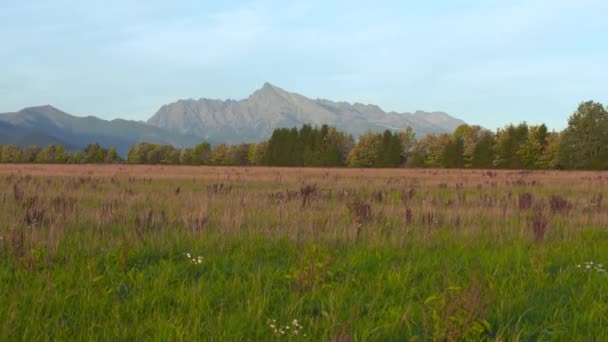 Mont Krivan Symbole Slovaque Panorama Large Avec Champ Automne Premier — Video