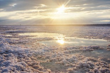 Crystalline white salt beach lit by morning sun reflected in small pools with seawater at Dead Sea - world most hypersaline lake clipart