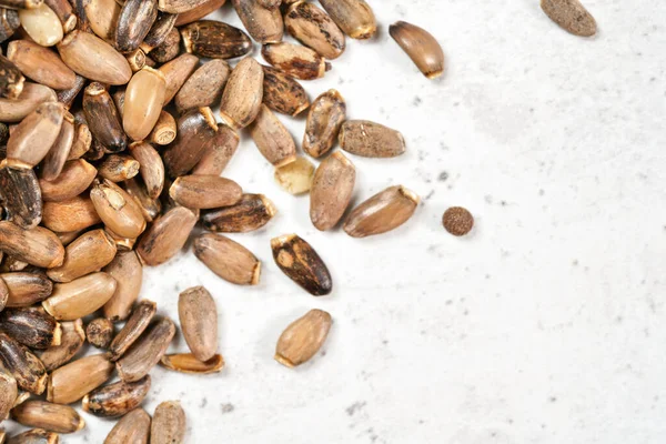 Blessed Milk Thistle Seeds Silybum Marianum White Stone Board Closeup — Stock Photo, Image