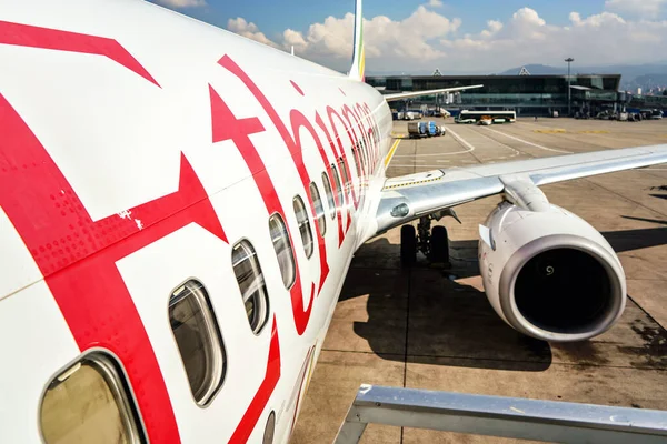 Addis Ababa Αιθιοπία Απριλίου 2019 Αιθίοπες Αεροπορικές Εταιρείες Boeing 737 — Φωτογραφία Αρχείου