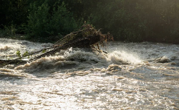 Sol Brilha Água Suja Inundação Que Flui Rapidamente Rio Tomando — Fotografia de Stock