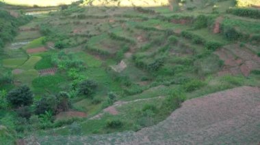 Tipik Madagaskar manzarası - Alakamisy Ambohimaha bölgesinde kil evleri olan küçük tepelerdeki yeşil ve sarı pirinç tarlalarında öğleden sonra güneşi parlıyor