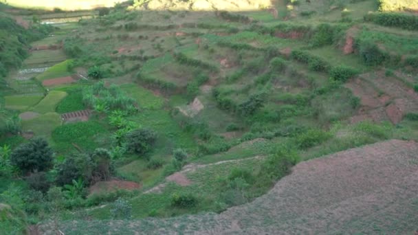 阿拉卡米西安博希马哈地区典型的马达加斯加景观 下午的阳光照射在布满粘土房屋的小山上的绿色和黄色稻田上 — 图库视频影像