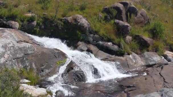 岩の上を流れる小さな川の滝 緑の草の小さな低木や茂み アンドリュニトラ国立公園 マダガスカルの典型的な風景 — ストック動画
