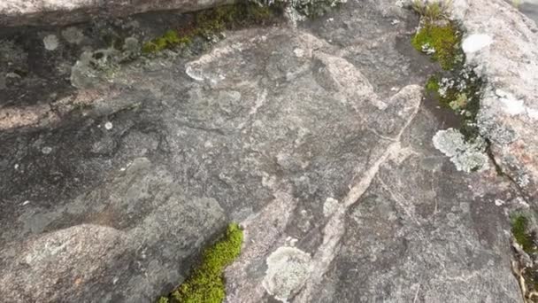 Grandes Pedras Redondas Cobertas Com Musgo Grama Arbustos Crescendo Redor — Vídeo de Stock