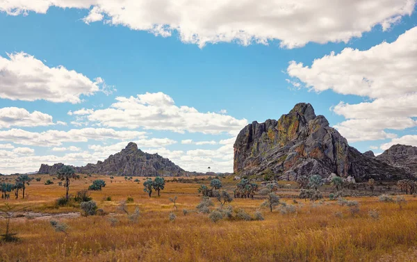 Low Grass Growing African Savanna Small Rocky Mountains Background Typical — Stock Photo, Image