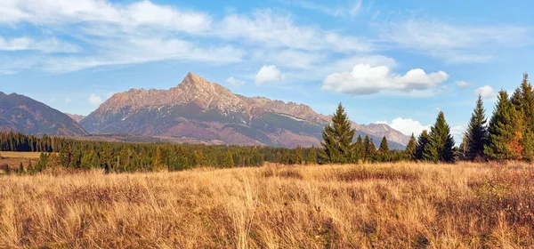 Herbstliche Wiesen Der Ferne Das Tatry Gebirge Mit Dem Krivan — Stockfoto