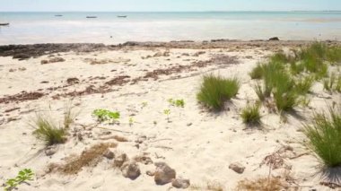 Yavaş rüzgarda hareket eden küçük çim kümeleri olan sahil, tekne mesafesindeki açık deniz, Anakao, Madagaskar yakınlarındaki bölge.