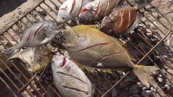 晴れた日に暖炉の上で焼きたての魚をキャッチ クローズアップ詳細 — ストック動画