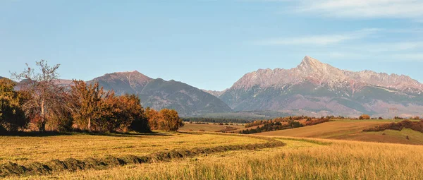 Mount Krivan Topp Slovakisk Symbol Brett Panorama Med Höst Skördade — Stockfoto