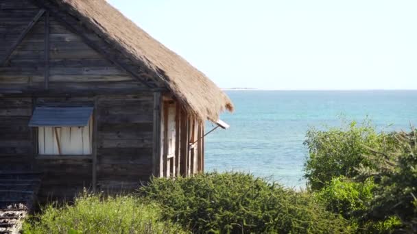 Casa Sulla Spiaggia Legno Tetto Paglia Fitti Alberi Verdi Vicino — Video Stock