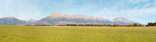Wide Panorama Green Meadow Small Forest Mount Krivan Peak Slovak — Stock Photo, Image