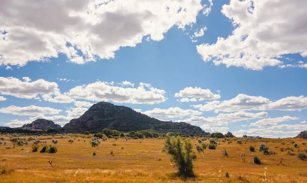 Nízká Tráva Rostoucí Africké Savaně Malé Skalnaté Hory Pozadí Typická — Stock fotografie