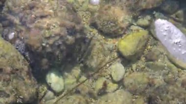 Güneş sığ denizde parlıyor. Yunanistan 'ın Korfu kentindeki Limni plajında küçük çakıl taşları. Deniz burada kristal kadar berrak.